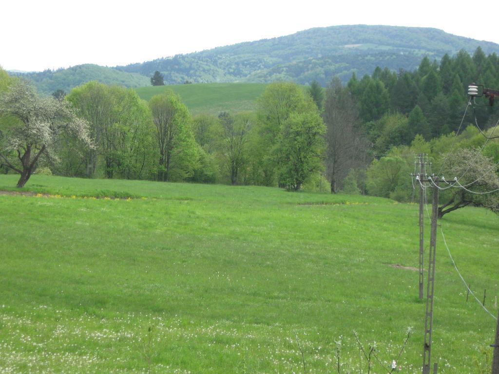 Villa Rzepedka Rzepedz Exterior foto